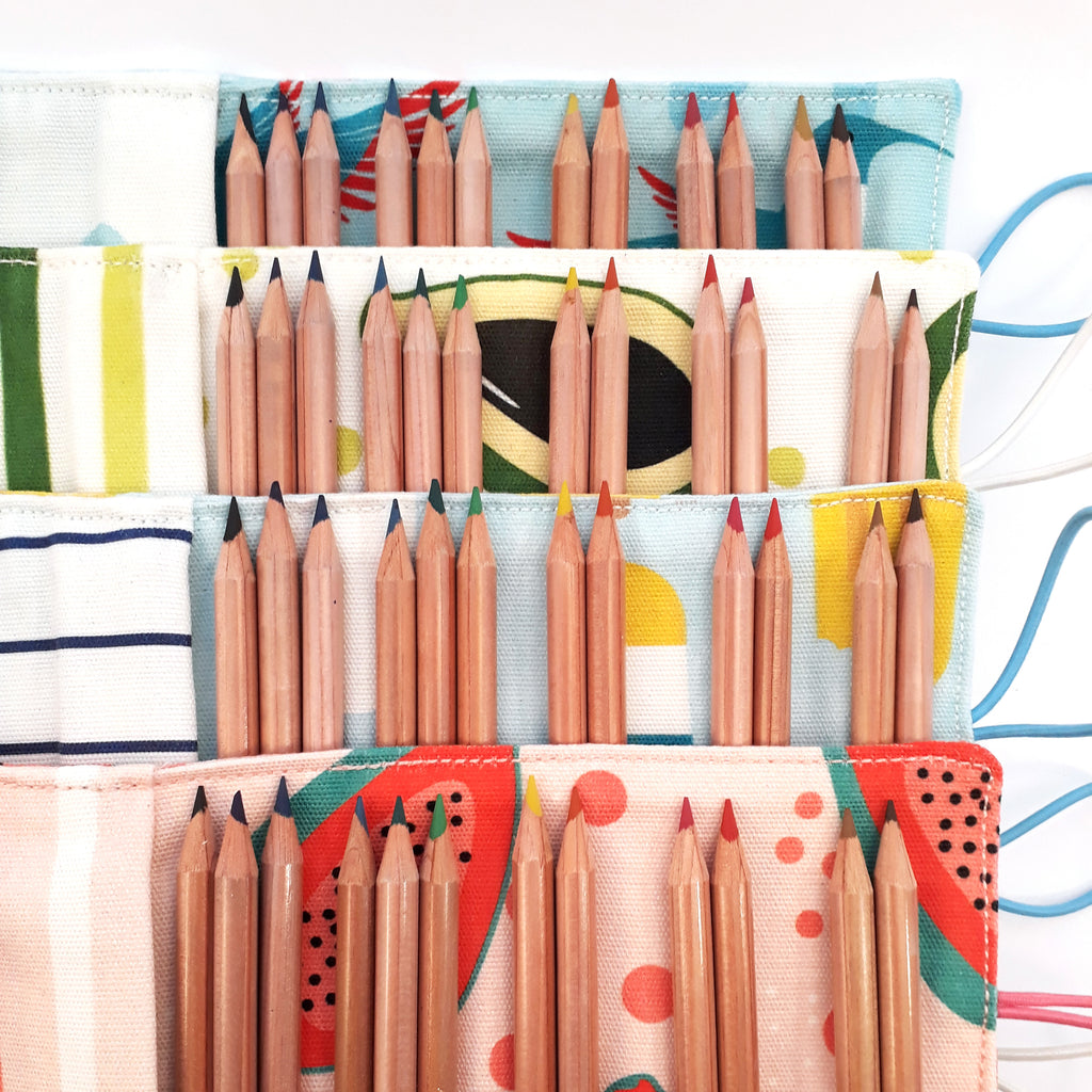 Pencil Case Small Popsicle